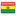 BOLIVIA flag
