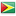 GUYANA flag